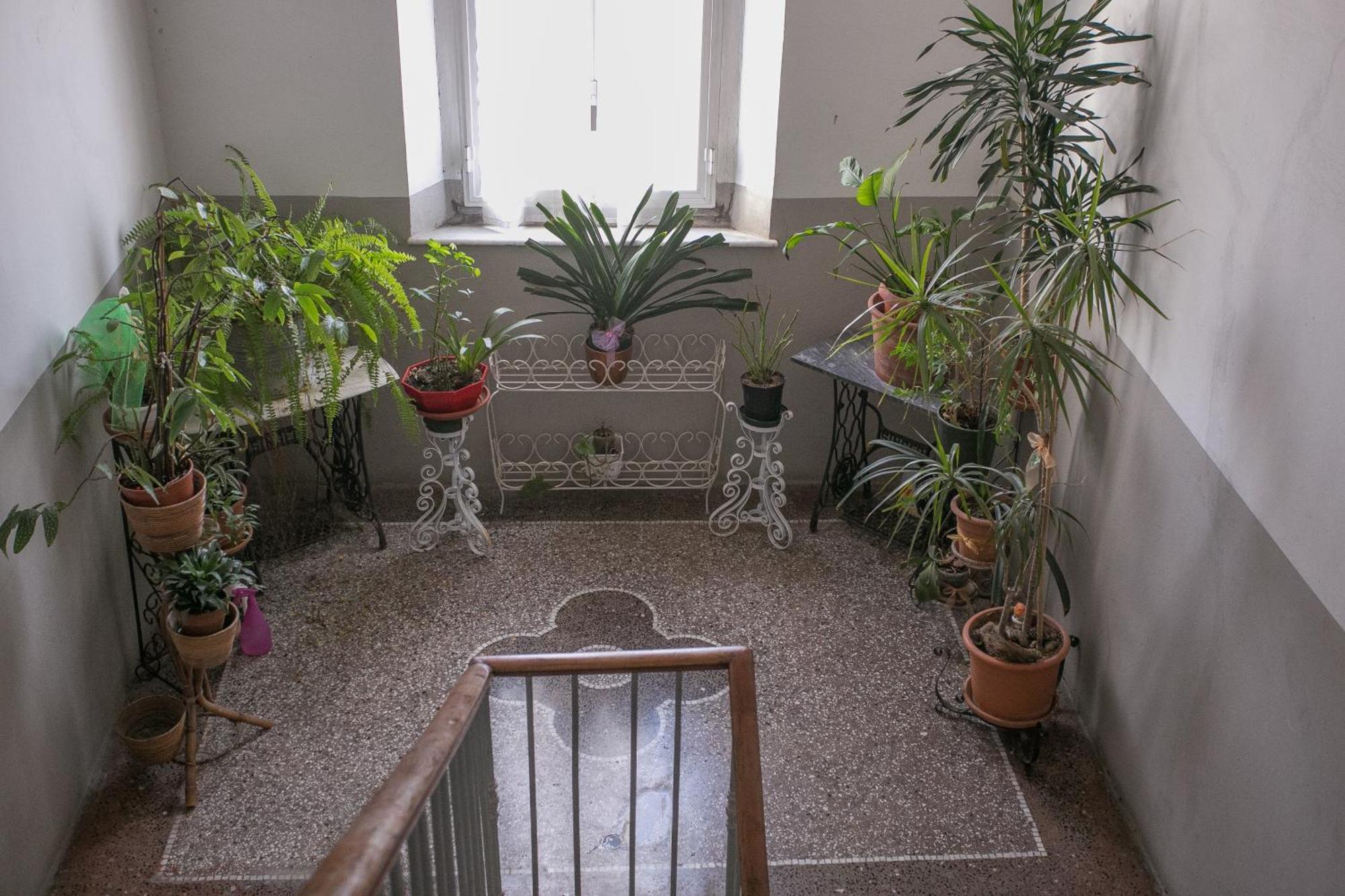 La Finestra Sul Mare B&B 리보르노 외부 사진